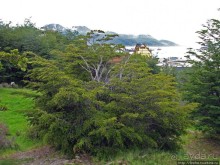 Ushuaia — fin del mundo. Ушуайя — конец света