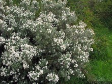 Ushuaia — fin del mundo. Ушуайя — конец света