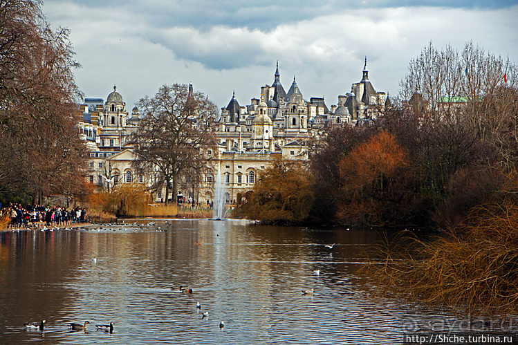 Весеннее пробуждение Сент-Джеймс парка в Лондоне