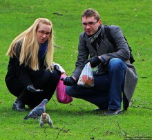 Весеннее пробуждение Сент-Джеймс парка в Лондоне