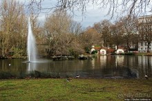 Весеннее пробуждение Сент-Джеймс парка в Лондоне