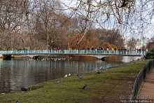 Весеннее пробуждение Сент-Джеймс парка в Лондоне