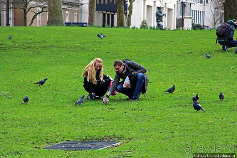 Весеннее пробуждение Сент-Джеймс парка в Лондоне