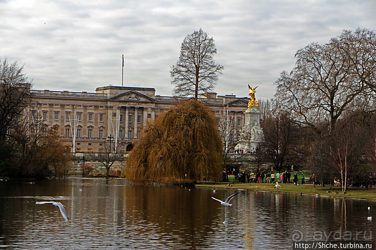 Весеннее пробуждение Сент-Джеймс парка в Лондоне