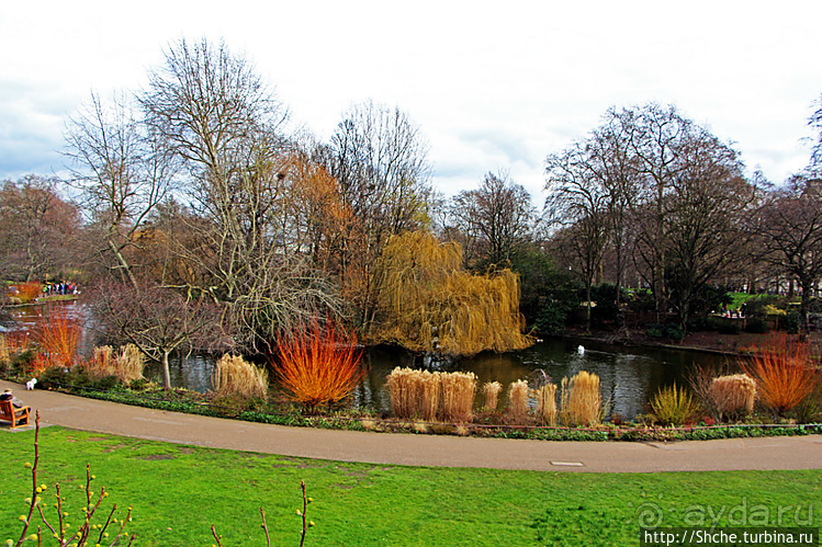 Весеннее пробуждение Сент-Джеймс парка в Лондоне