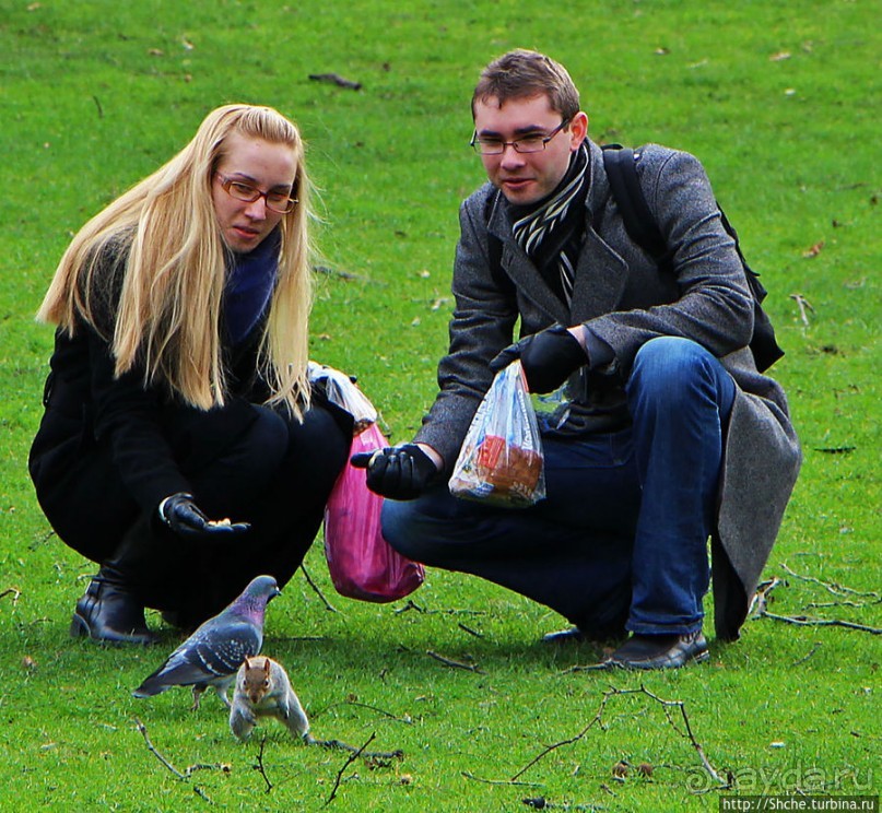 Весеннее пробуждение Сент-Джеймс парка в Лондоне