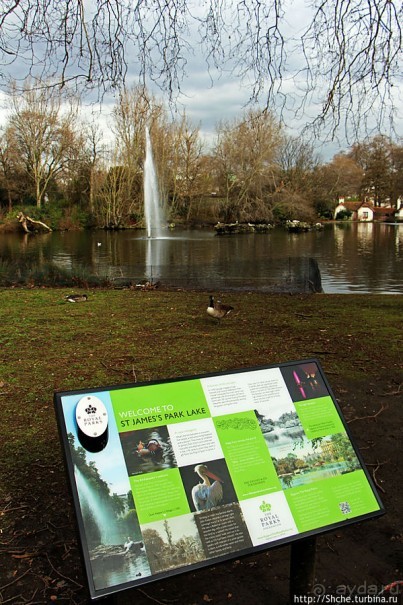 Весеннее пробуждение Сент-Джеймс парка в Лондоне