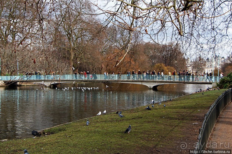 Весеннее пробуждение Сент-Джеймс парка в Лондоне