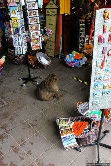 Обогрелись, подкрепились