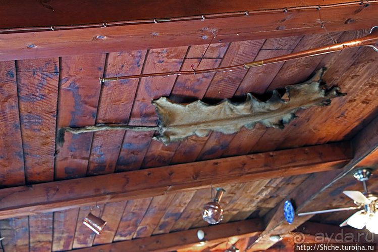 Обогрелись, подкрепились