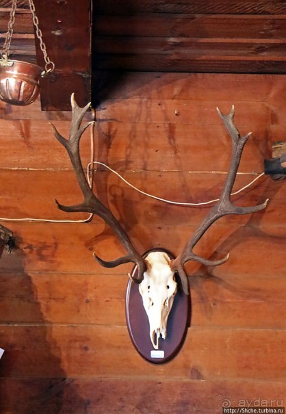 Обогрелись, подкрепились