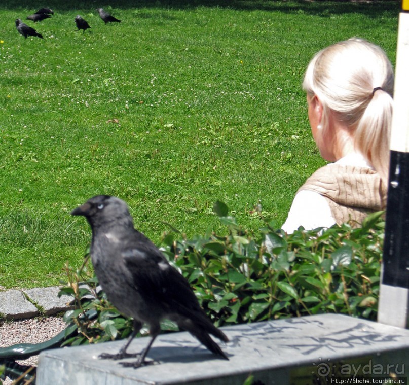 5 часов в Стокгольме. Часть 2. Royal Palace and Gamla Stan