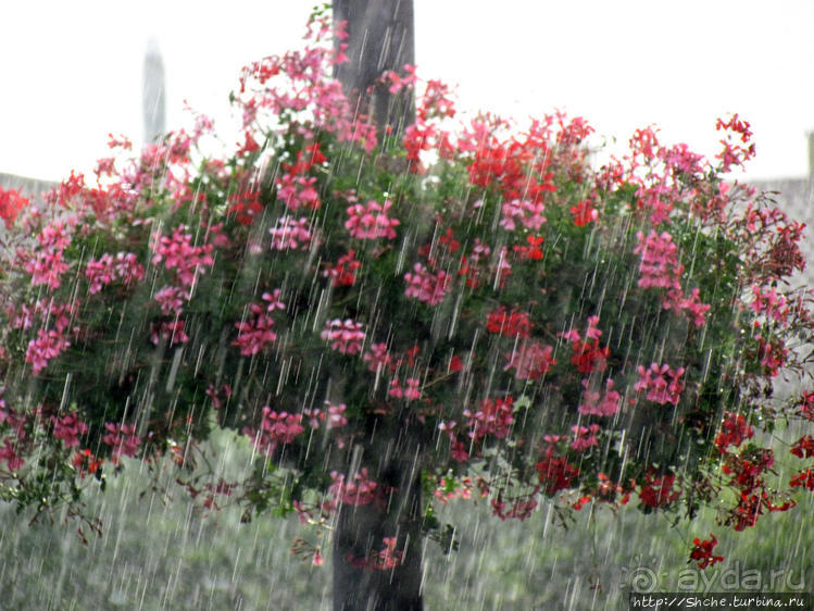 Промозглый Интерлакен — швейцарский "Междуозерск"