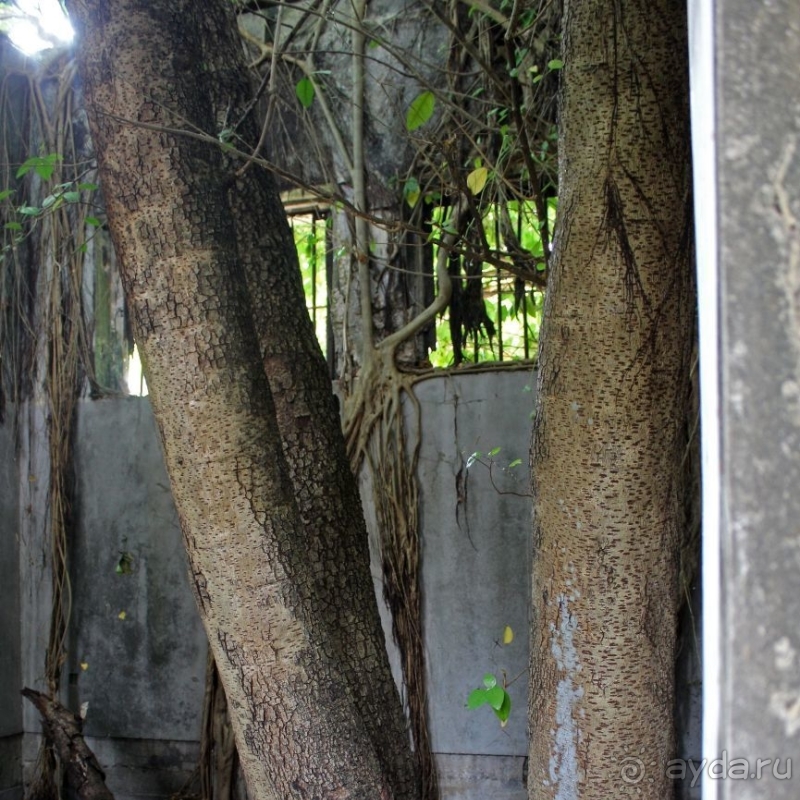 Старая японская тюрьма — моя находка на Сайпане