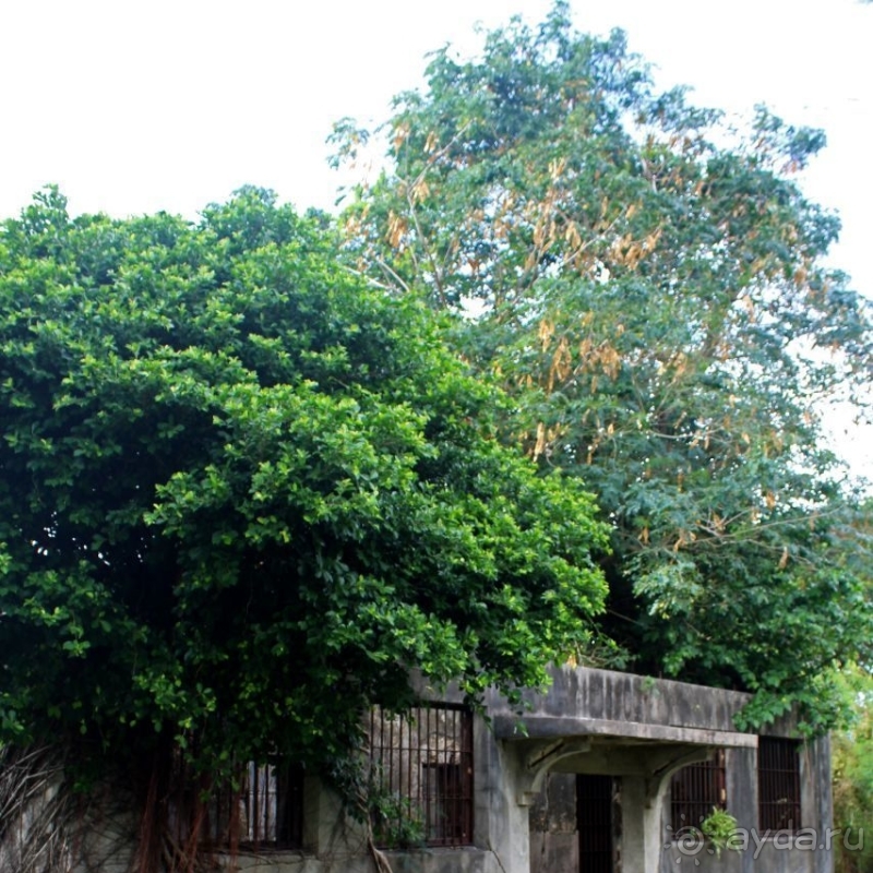 Старая японская тюрьма — моя находка на Сайпане