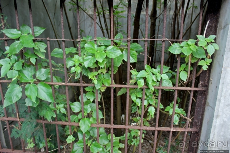 Старая японская тюрьма — моя находка на Сайпане