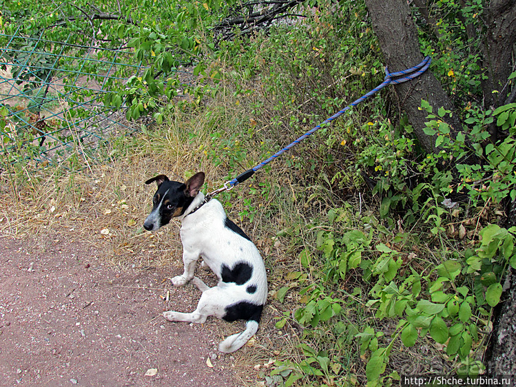 Альбом отзыва "Крепость Белоградчика: три уровня — три периода истории"