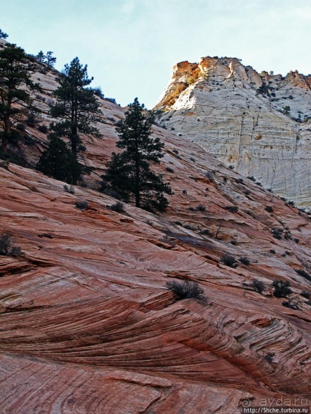 Национальный парк Зион — специфика зимнего автопосещения