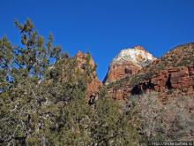Национальный парк Зион — специфика зимнего автопосещения