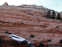 Национальный парк Зион — специфика зимнего автопосещения