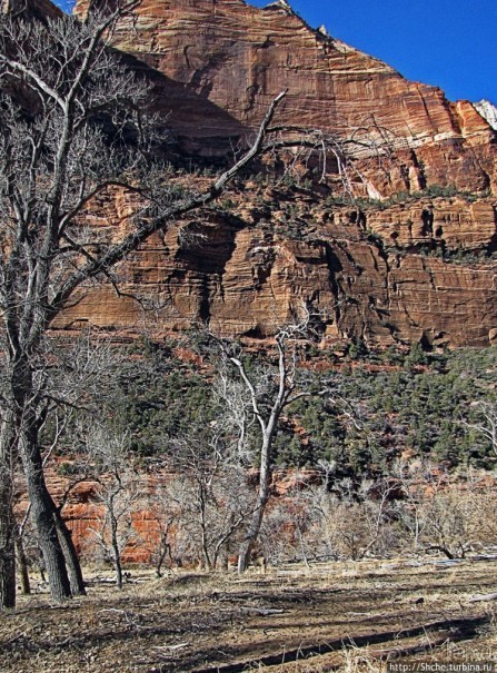 Национальный парк Зион — специфика зимнего автопосещения