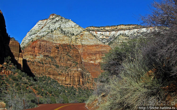 Национальный парк Зион — специфика зимнего автопосещения
