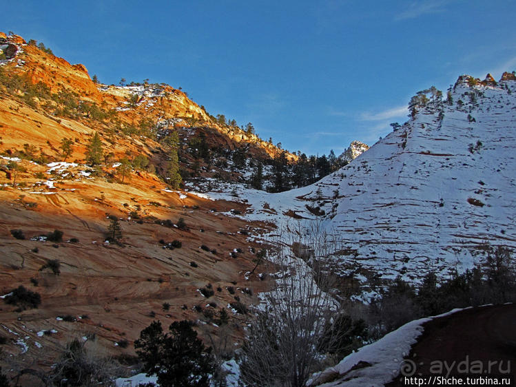 Национальный парк Зион — специфика зимнего автопосещения