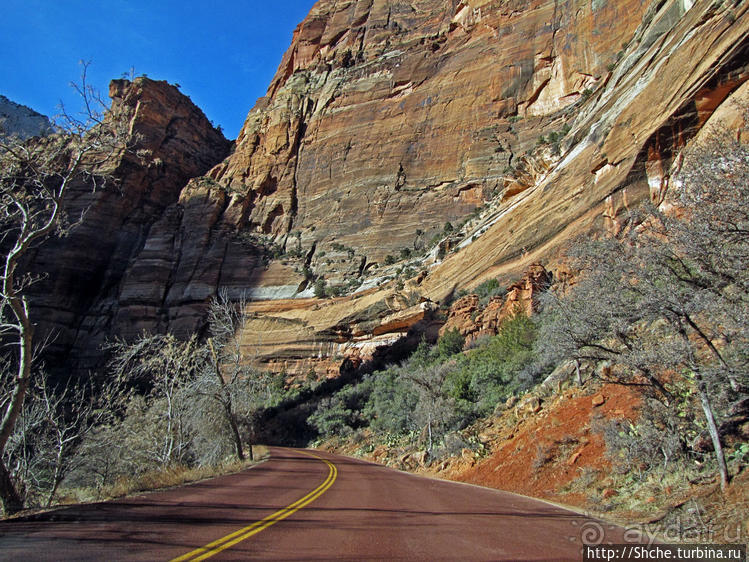 Национальный парк Зион — специфика зимнего автопосещения