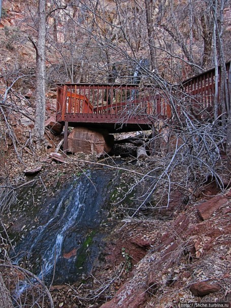 Национальный парк Зион — специфика зимнего автопосещения