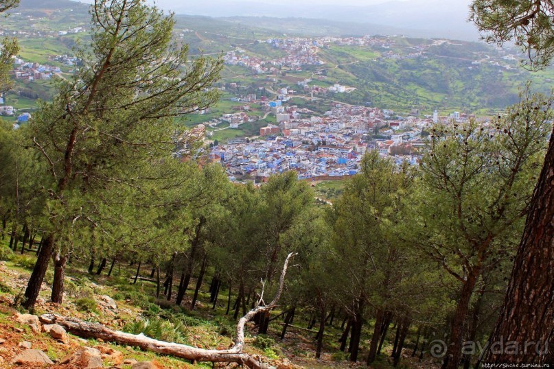 Прогулка-"восхождение" на гору Джебель эль-Келаа