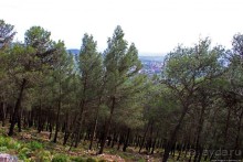 Прогулка-"восхождение" на гору Джебель эль-Келаа