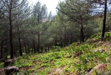 Прогулка-"восхождение" на гору Джебель эль-Келаа