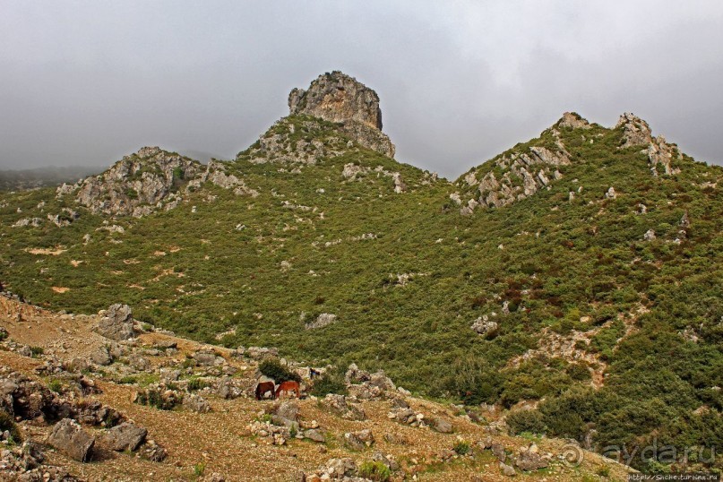 Прогулка-"восхождение" на гору Джебель эль-Келаа