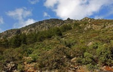 Прогулка-"восхождение" на гору Джебель эль-Келаа