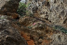 Прогулка-"восхождение" на гору Джебель эль-Келаа