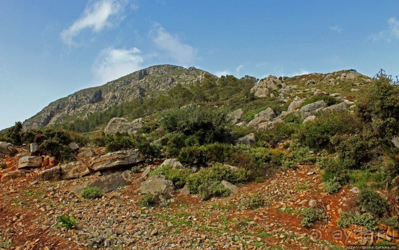 Альбом отзыва "Прогулка-"восхождение" на гору Джебель эль-Келаа"