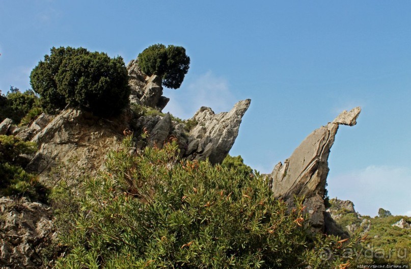 Прогулка-"восхождение" на гору Джебель эль-Келаа