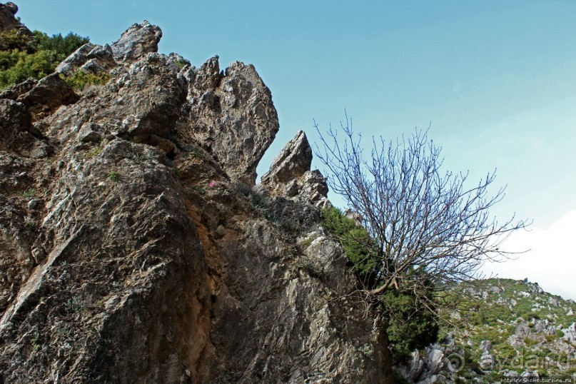 Прогулка-"восхождение" на гору Джебель эль-Келаа