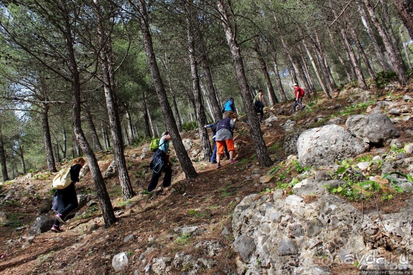 Прогулка-"восхождение" на гору Джебель эль-Келаа