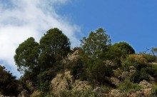 Прогулка-"восхождение" на гору Джебель эль-Келаа