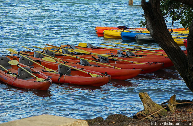 Венецианские мотивы Пуэрто Рико
