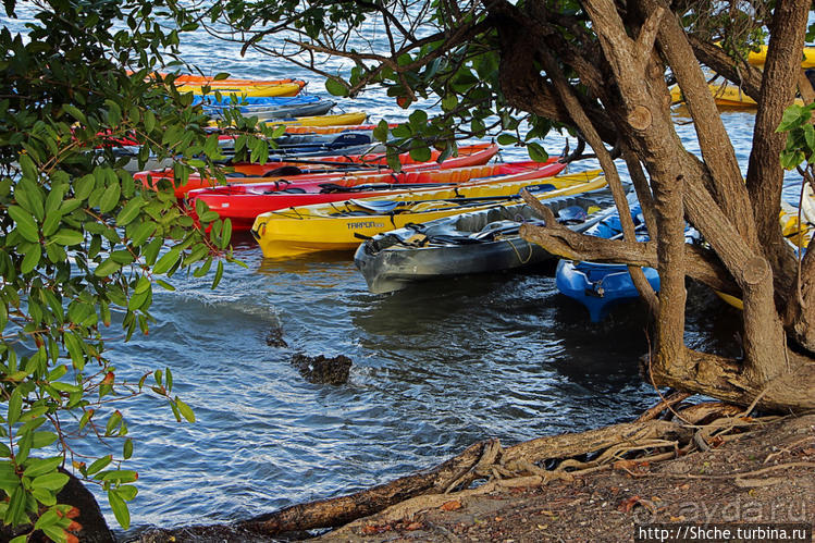 Венецианские мотивы Пуэрто Рико