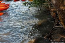 Венецианские мотивы Пуэрто Рико