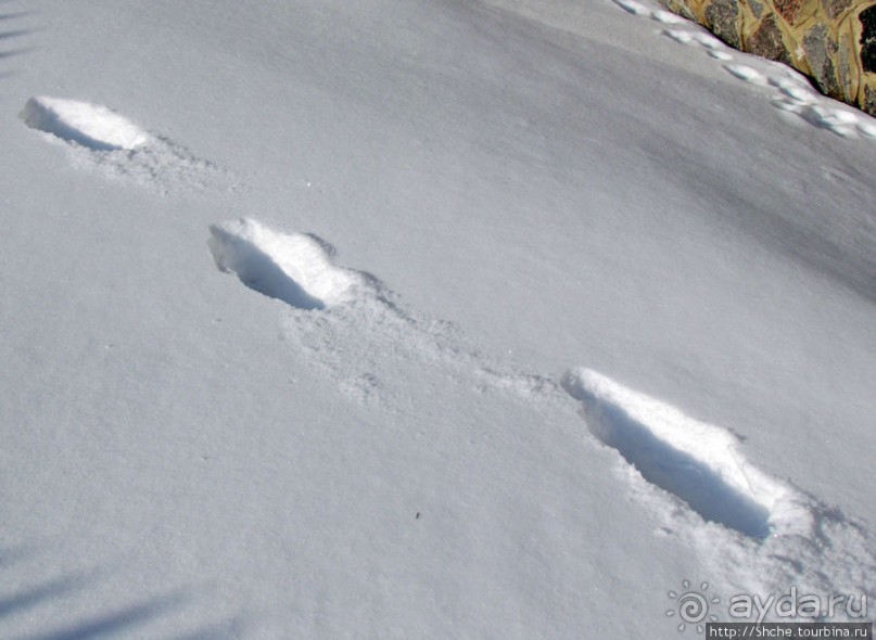 Январские этюды Харьковщины