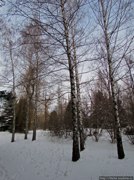 Январские этюды Харьковщины