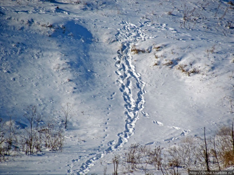 Январские этюды Харьковщины