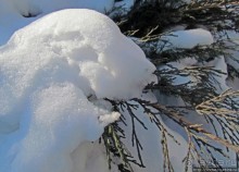 Январские этюды Харьковщины