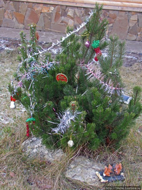 Январские этюды Харьковщины