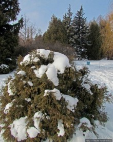 Январские этюды Харьковщины