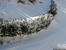 Январские этюды Харьковщины